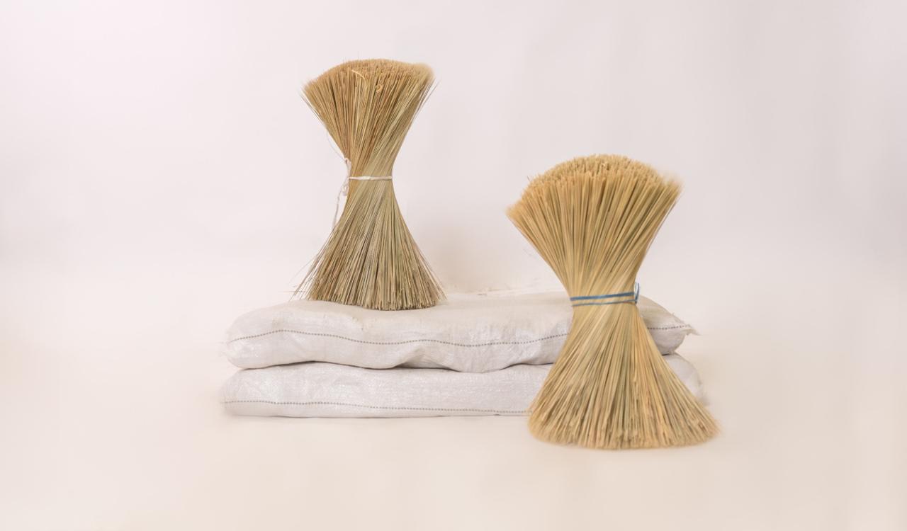 Capa Africana - Gaza Limpieza