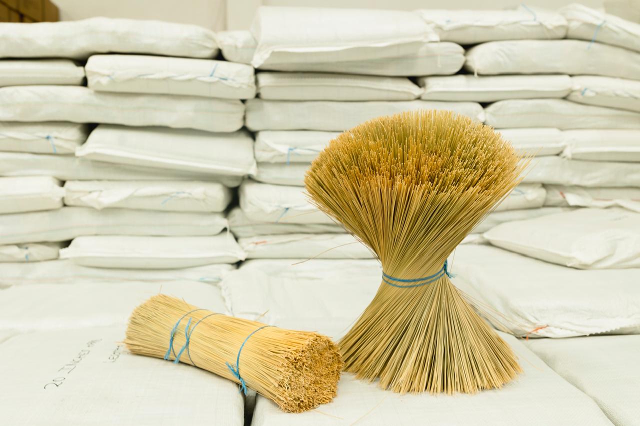 Capa africana - Gaza Limpieza